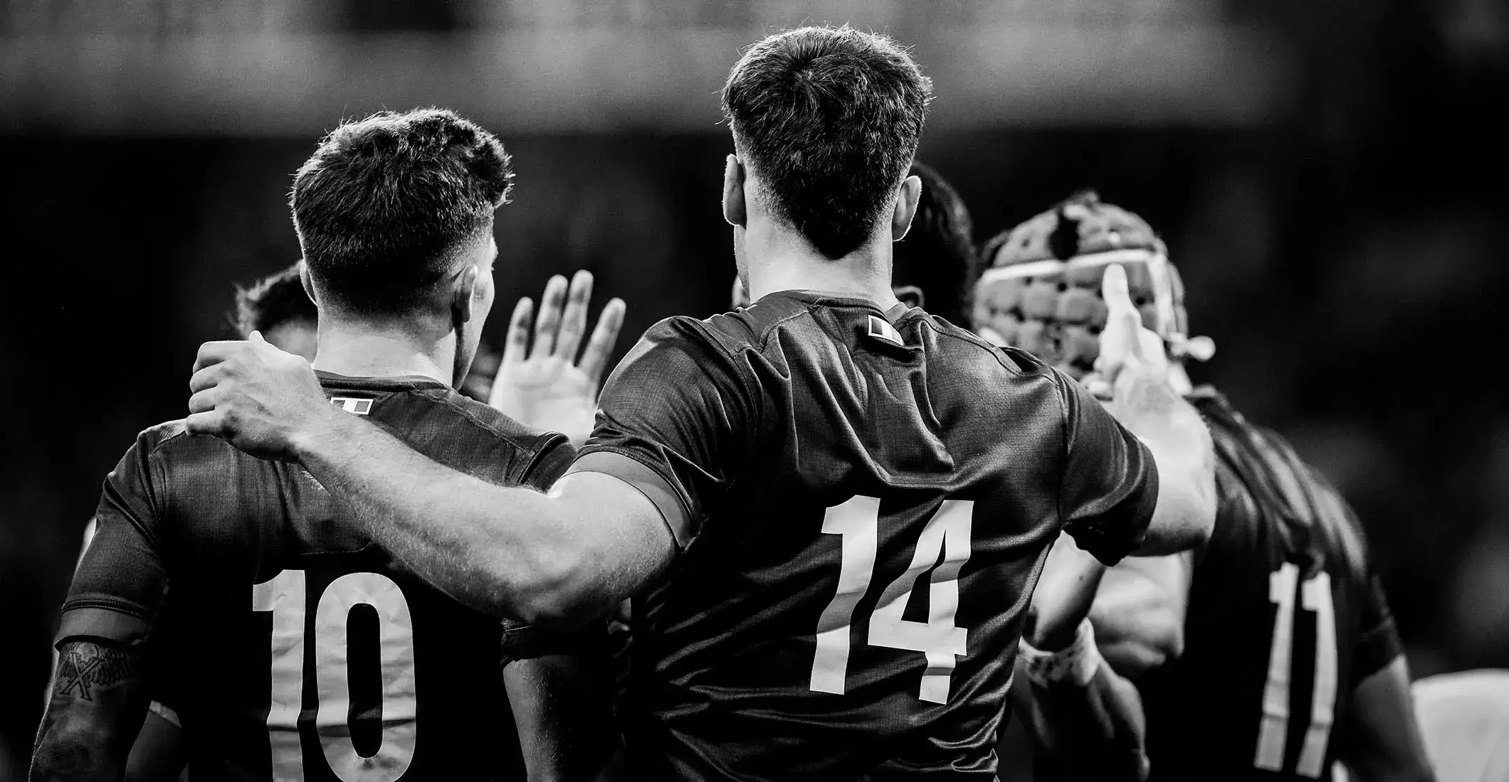 Background Fédération Française de Rugby