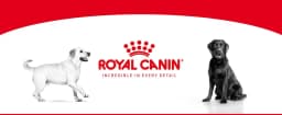 Royal Canin - Media 1