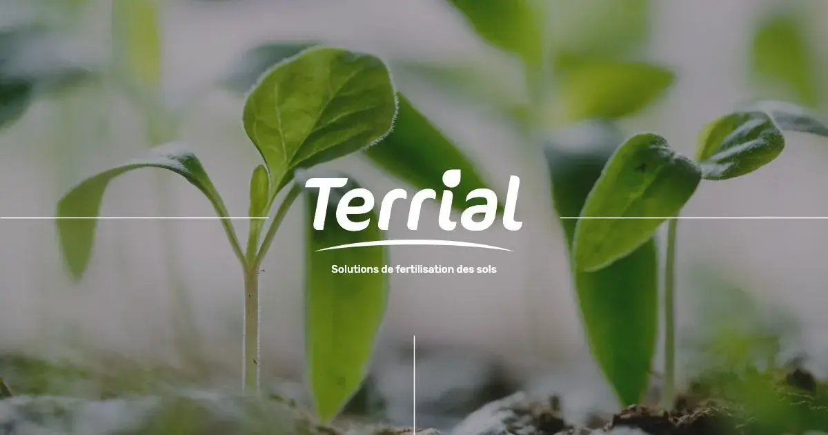 Terrial - Media 1